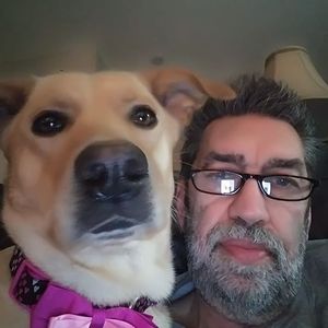 Meet your Posher, David